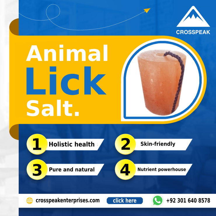 Animal Lick Salt