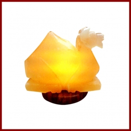 Himalayan Camel Shape Lamp