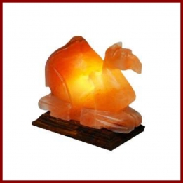 Himalayan Camel Shape Lamp