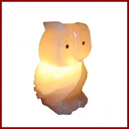 Himalayan Owl Shape Lamp