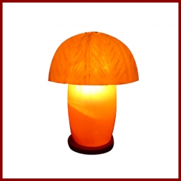 Himalayan Palm Shape Lamp