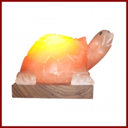 Himalayan Turtle Shape Lamp